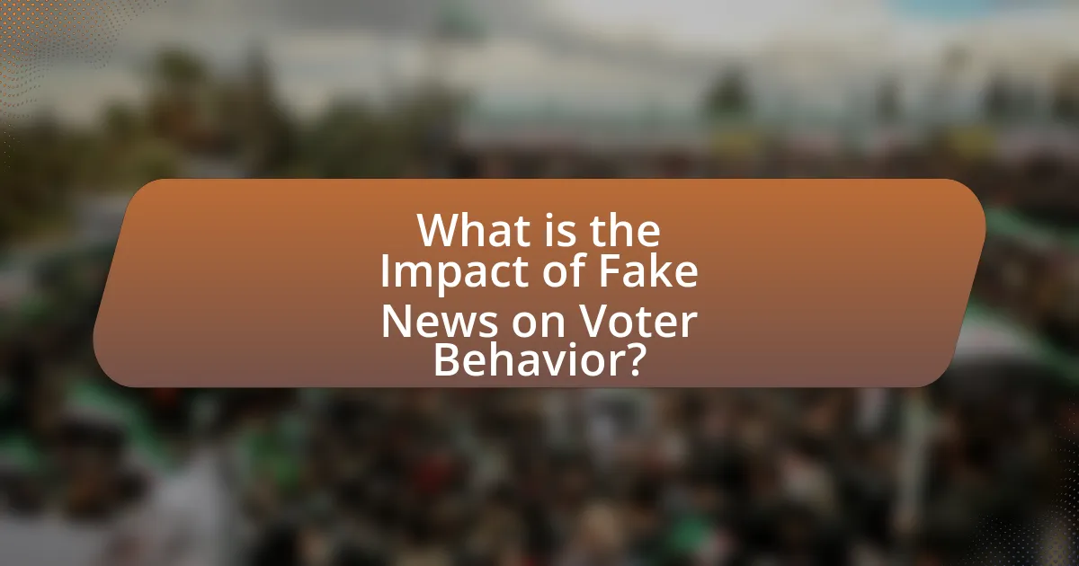 What is the Impact of Fake News on Voter Behavior?